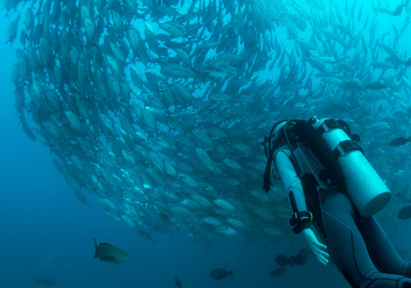 Untitled design (16)