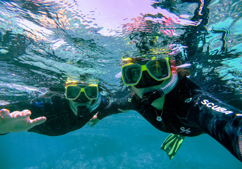 Untitled design (17)